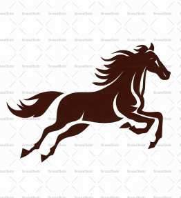 Galoppierendes Pferd